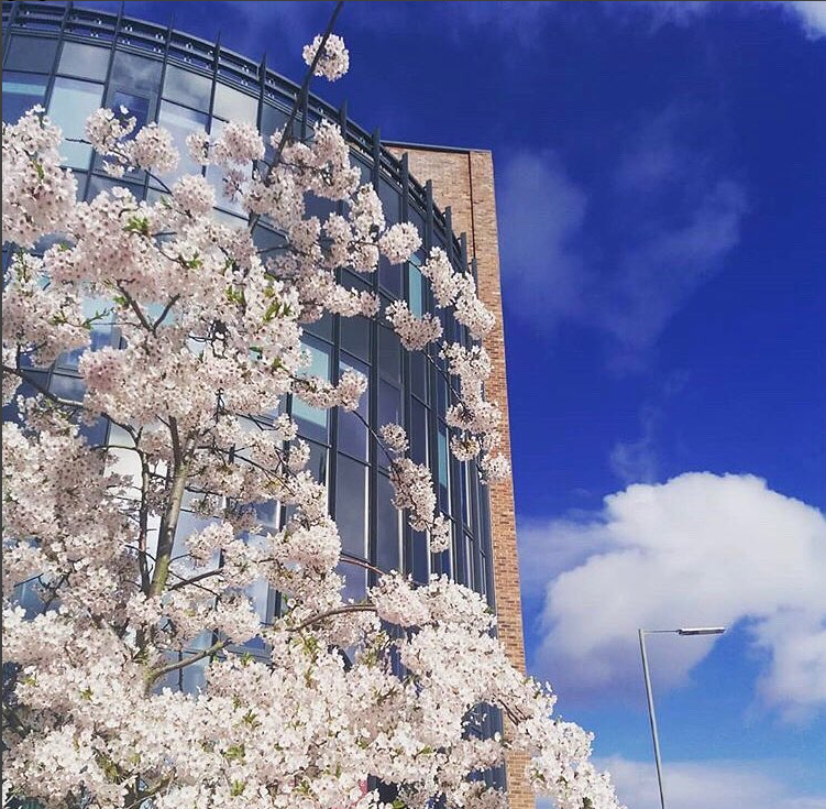 We’re making a pledge for a greener 54 St James Street